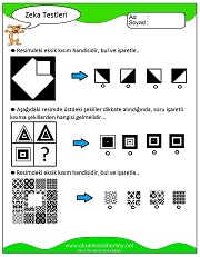 Zeka Gelişim Testleri